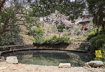 婺源严田第 21 张图片