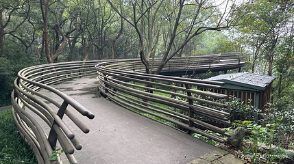 白蛇飞渡第 1 张图片