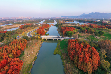 三垟湿地第 3 张图片