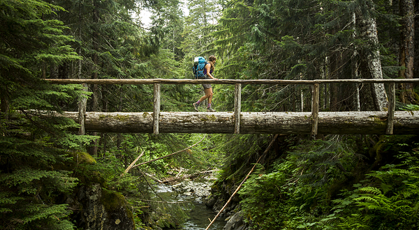 奥林匹克国家公园