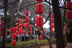 2026年上海古猗园迎春活动