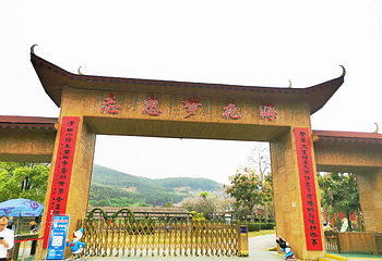 蓝田紫林旅游度假区第 108 张图片