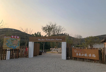 马安农场第 10 张图片