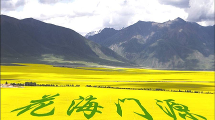 花海芬芳浴第 1 张图片