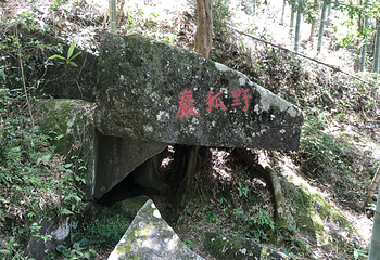 奉新县百丈山景区第 11 张图片