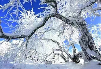 长白山仙峰雪岭景区第 30 张图片