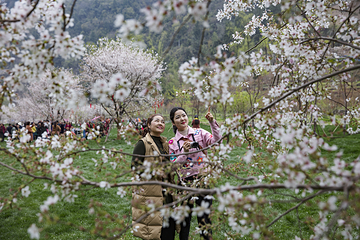 高岚大峡谷旅游度假区第 5 张图片