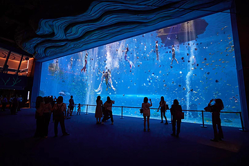 海南海洋欢乐世界度假区第 4 张图片
