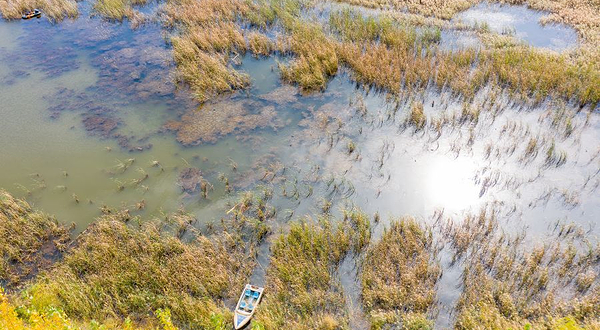 郑州黄河国家湿地公园