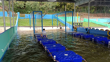 金航欢乐农场·团建拓展·亲子游(番禺新造店)