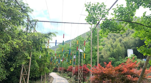 益马当鲜桂语零号乐园