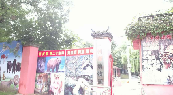 滕州动物园