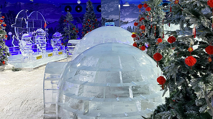 奇境冰雪世界第 6 张图片