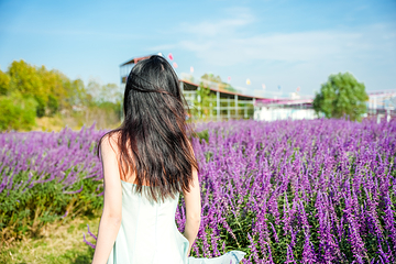 金卉庄园第 89 张图片