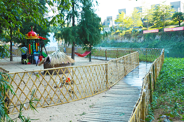鹤鸣洲湿地公园第 4 张图片
