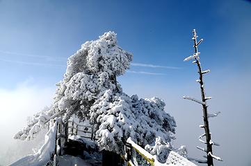 老界岭旅游度假区第 36 张图片