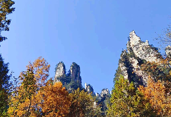 张家界国家森林公园第 437 张图片