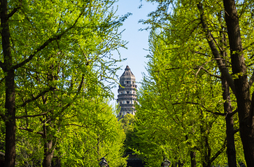 虎丘山风景名胜区-虎丘塔第 3 张图片