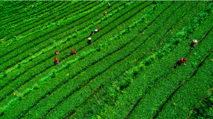 皇后山生态旅游度假区第 33 张图片
