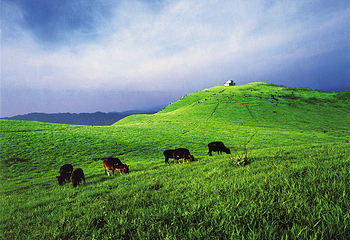 塔山瑶乡天堂山景区第 5 张图片