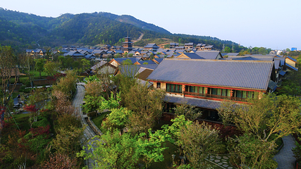 东山问梅村第 14 张图片