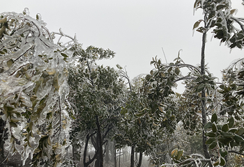 皇后山生态旅游度假区第 36 张图片