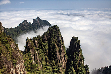 莽山五指峰景区第 43 张图片