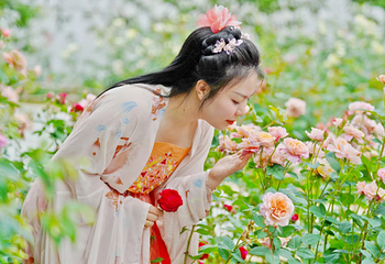 花田厝鲜花艺术小镇第 7 张图片