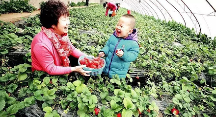 田水湾漫花小镇第 37 张图片