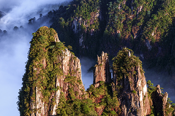 莽山旅游区国家森林公园第 29 张图片