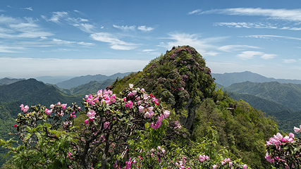 米仓山国家森林公园第 41 张图片