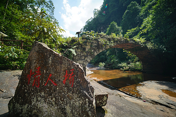黄荆老林第 9 张图片