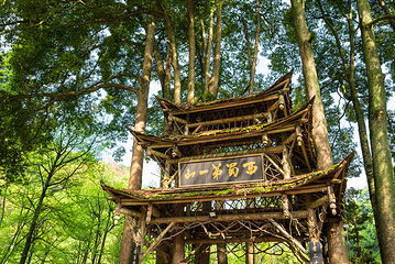 青城山第 230 张图片