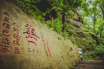 天女山森林公园第 3 张图片