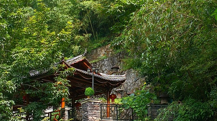 白沙村第 1 张图片