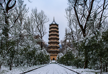灵谷景区第 24 张图片
