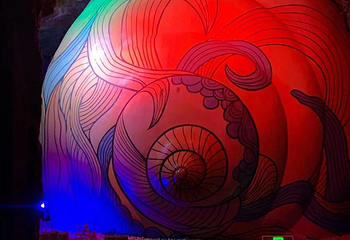 贝壳梦幻世界第 43 张图片
