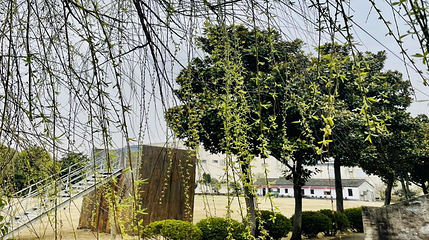 地心部落第 55 张图片