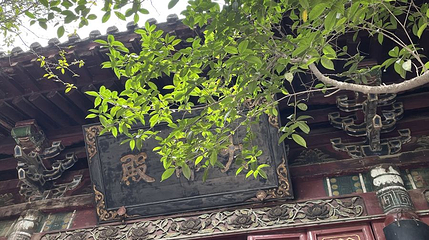 白马寺-大佛殿第 1 张图片