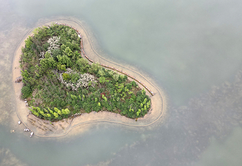 新蒲湿地公园第 20 张图片
