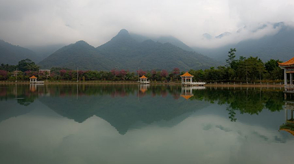 石马龙湿地公园第 1 张图片