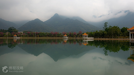 石马龙湿地公园第 2 张图片