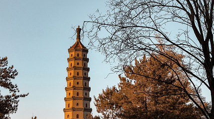 南营子大街第 1 张图片