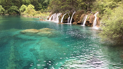 卧龙海第 1 张图片