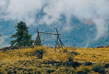 轻和CAMPING·帐篷露营地(哈巴雪山店)第 11 张图片