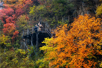 九如山休闲旅游度假区第 100 张图片