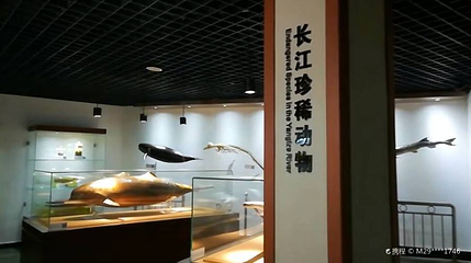 水生生物博物馆第 1 张图片