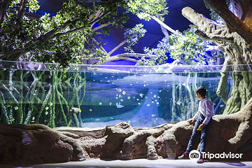 塞维利亚水族馆第 2 张图片
