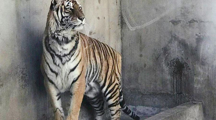 绵阳动物园第 1 张图片