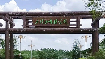 石龙山国家森林公园第 1 张图片